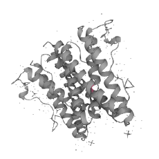 Recombinant Human Interleukin-6(IL-6)CYT-P05231